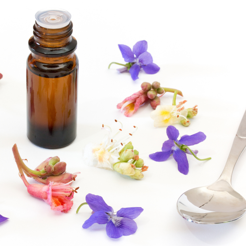 Flores de Bach – Terapia Floral Integral